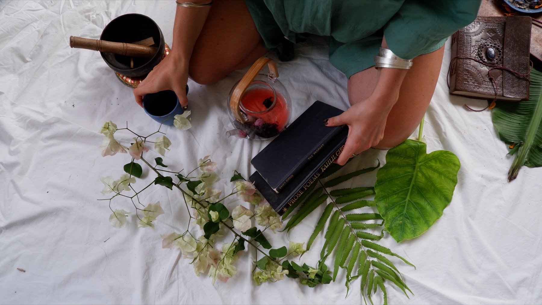 Roxanne Noor — Photography