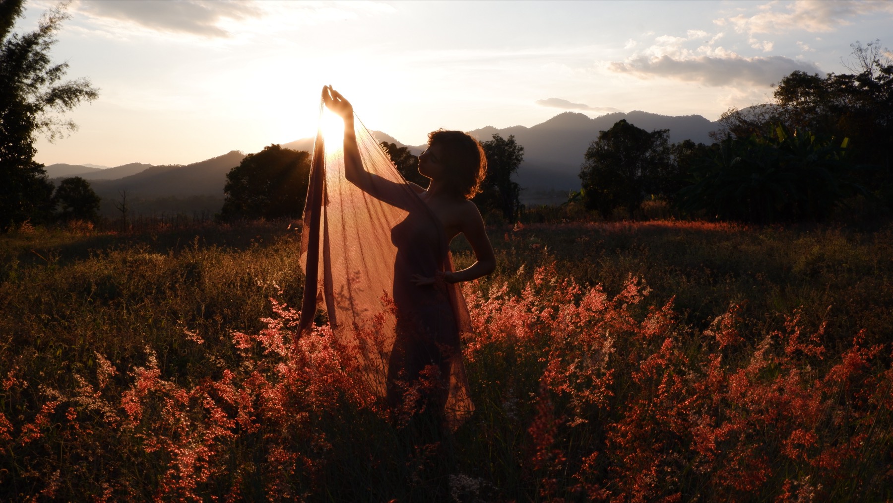 Roxanne Noor — Photography