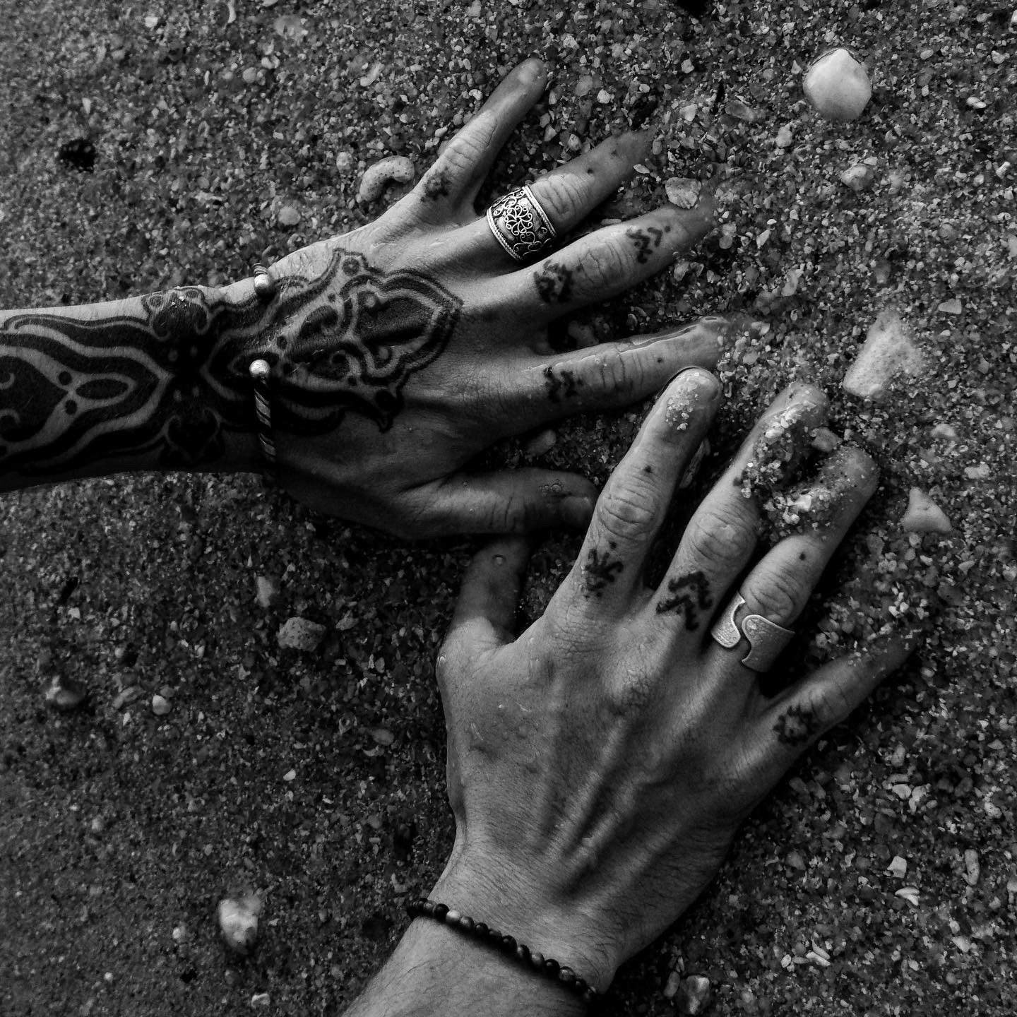 Roxanne Noor — Photography